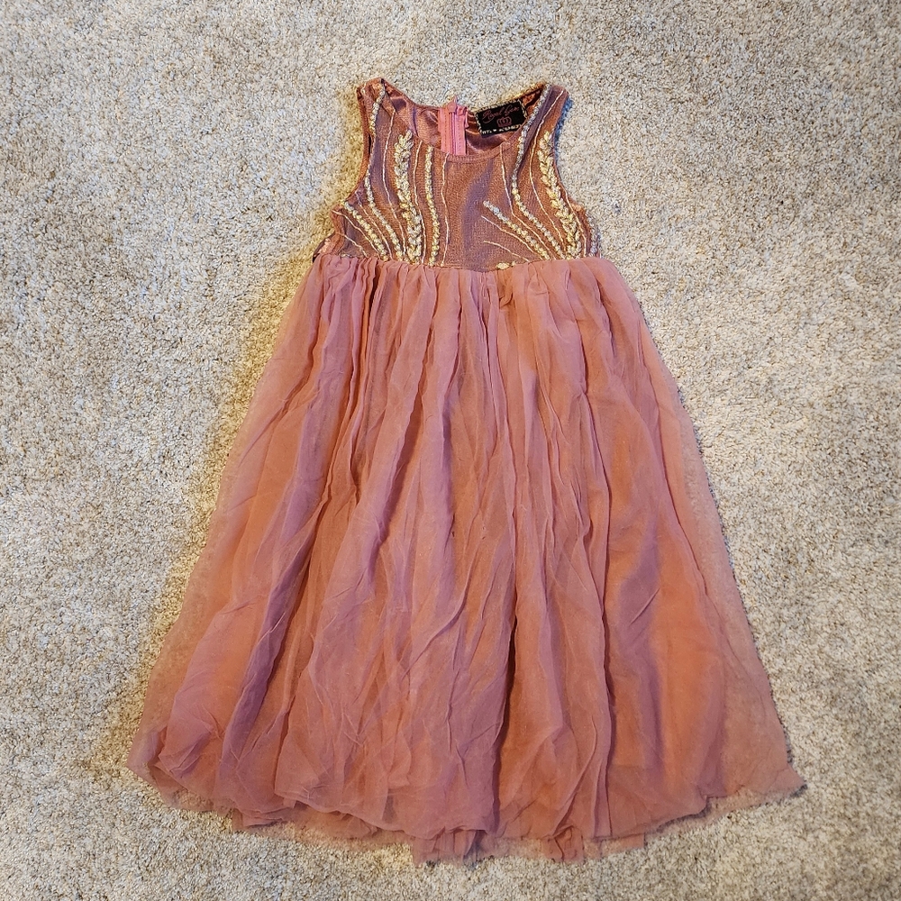 Girls 3T Princess Holiday Fancy Dusty Rose Embroidered Dress by Royal Gem